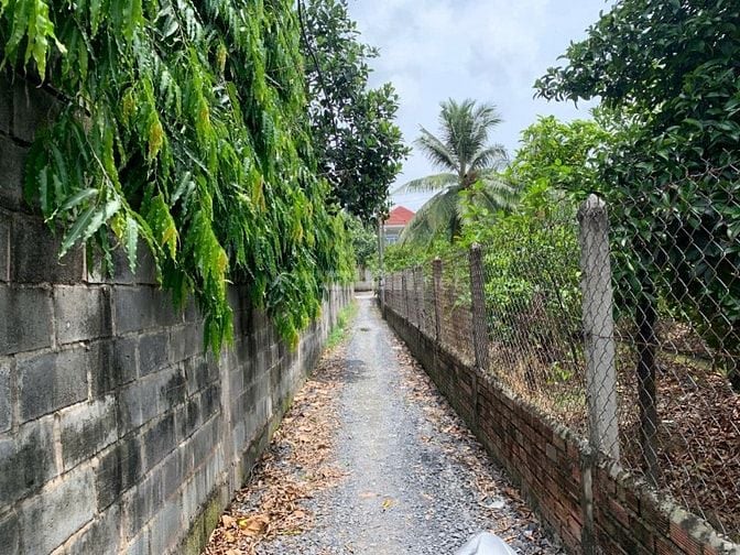 BÁN ĐẤT 250M2 THỔ CƯ 2 MT HẺM  , GẦN SÔNG SÀI GÒN - PHÀ AN SƠN 