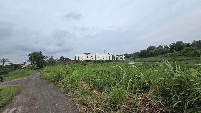 Đất thổ cư mặt tiền sông giá 4.5 tỷ