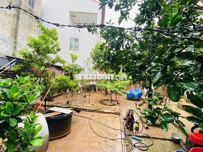 Bán đất Xóm Nam Đại Đồng Đại Mạch Đông Anh HN 120m2 8.8 tỉ