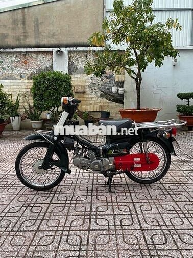 cub nhật 50