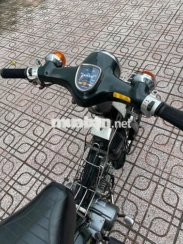 cub nhật 50