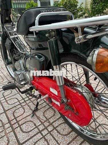 cub nhật 50