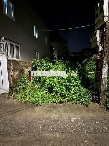 Bán gấp đất Đại Áng ô tô ,ngõ thông ,diện tích rộng ,giá đầu tư 4.5 tỷ