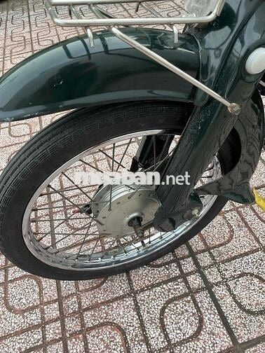 cub nhật 50