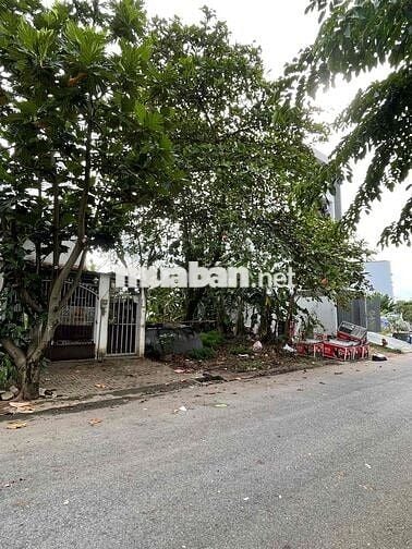 Đất TĐC Quận 7, MT Trường, sát Chợ, thổ cư 100%, Đầu tư sinh lời ngay!