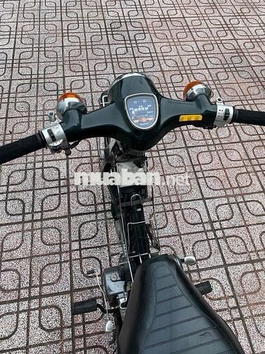 cub nhật 50