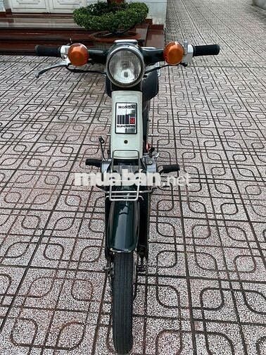 cub nhật 50