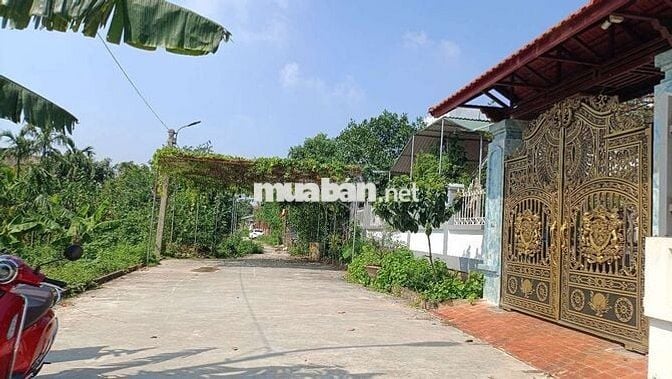 BÁN ĐẤT HẢI BỐI - VỊ TRÍ VÀNG, VIEW SÔNG HỒNG,

LÔ GÓC 2 MẶT THOÁNG