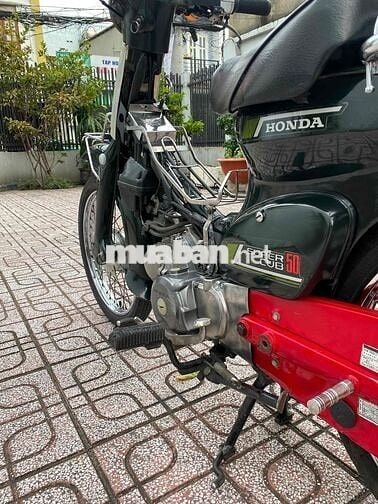 cub nhật 50