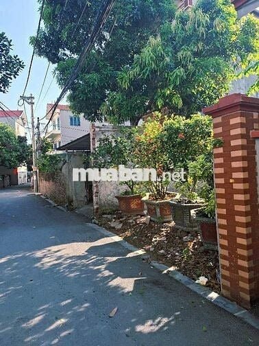 Bán đất Đại Đồng Đại Mạch Đông Anh Hn 109m2 9.8 tỉ