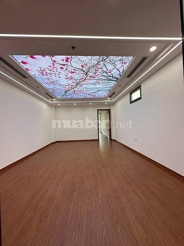 Bán nhà phân lô liền kề phố Dương Đình Nghệ, Trung Kính, Phạm Văn Bạch