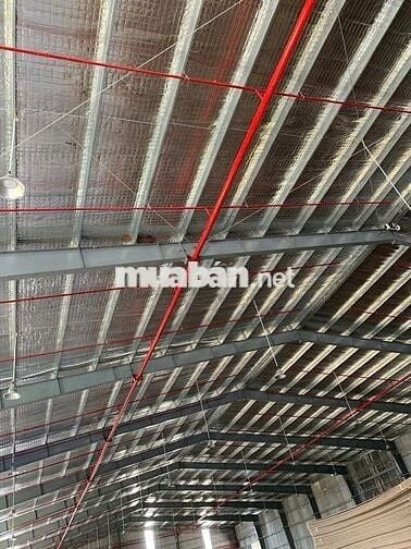 GIẢM GIÁ SỐC – BÁN NHANH NHÀ XƯỞNG 2.340m² NGAY KCN TÂN ĐÔ – HẢI SƠN
