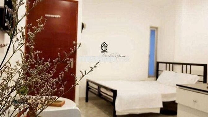 [ CHÍNH CHỦ] CHO THUÊ NHÀ NGUYÊN CĂN KD KHDV QUẬN 1