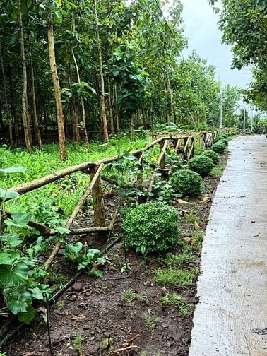 Bán gấp lô đất 1.500m² cạnh hồ Trị An, vị trí đắc địa và tiềm năng 