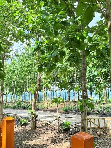 Bán gấp lô đất 1.500m² cạnh hồ Trị An, vị trí đắc địa và tiềm năng 