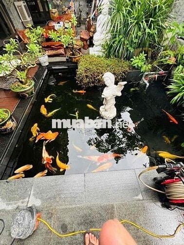 CHO THUÊ BIỆT THỰ 3 TẦNG VÕ VĂN KIỆT GẦN BIỂN MỸ KHÊ