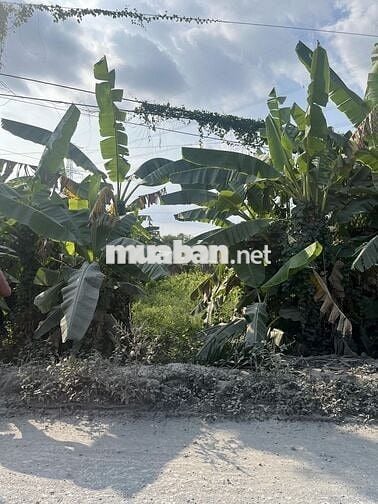 🔊🔊🔊Chính chủ cần bán miếng đất Mặt Tiền HL71 (khu ba xoài)