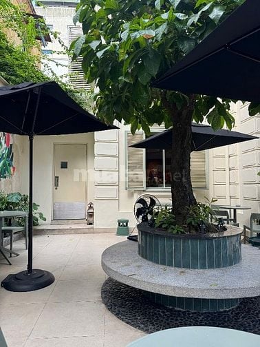 Bán nhà mặt phố Tràng Thi VIP, lô góc 219m2, mặt tiền 19.8m, 215 tỷ