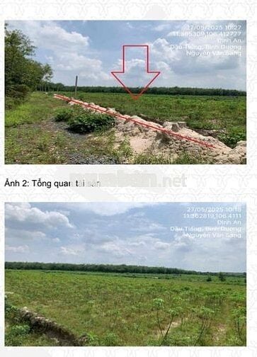 Ngân hàng thanh lý BĐS tại xã Định An, Dầu Tiếng, Bình Dương