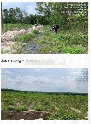 Ngân hàng thanh lý BĐS tại xã Định An, Dầu Tiếng, Bình Dương