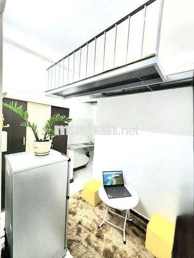 Bùi Đình Tuý P24 Bình Thạnh 25m2 FNT đẹp. Giá 4 triệu/ tháng