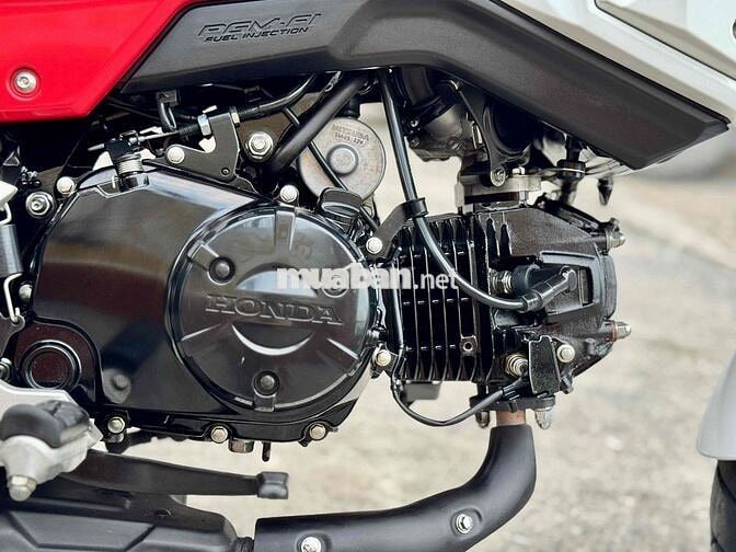 Honda Msx125 đờicao, chính chủ lướt keng