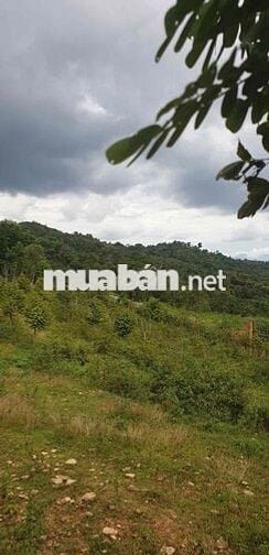 siêu phẩm ôm trọn quả đồi Phường Eakao