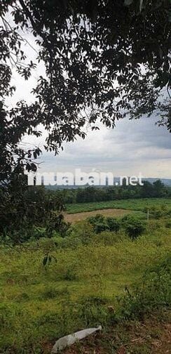 siêu phẩm ôm trọn quả đồi Phường Eakao