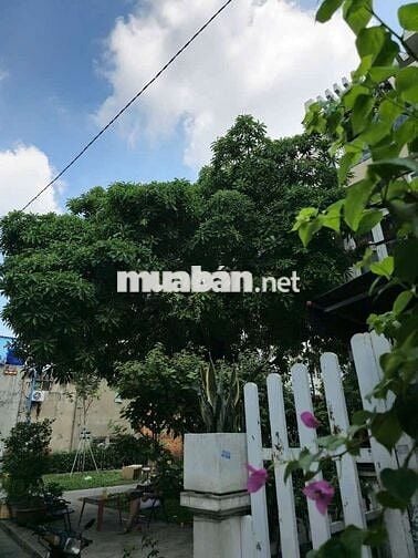 NHÀ TRỆT THẠCH LAM — PHƯỜNG HIỆP TÂN  (6m x 16m)