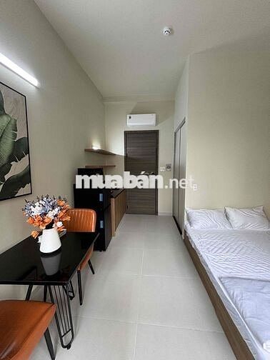 🏢 DỰ ÁN KOLA KIỀU ĐÀM – TRẦN XUÂN SOẠN, QUẬN 7 🌿