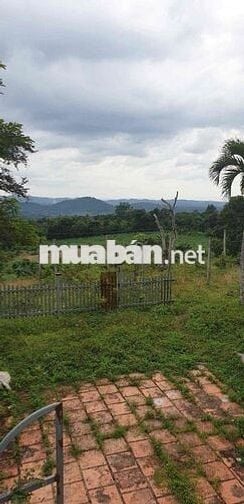 siêu phẩm ôm trọn quả đồi Phường Eakao