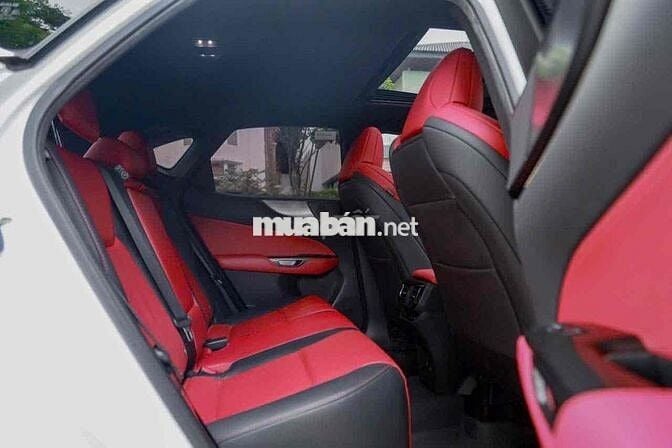 Lexus NX350 F-Sport sản xuất 2023 - 38000 km