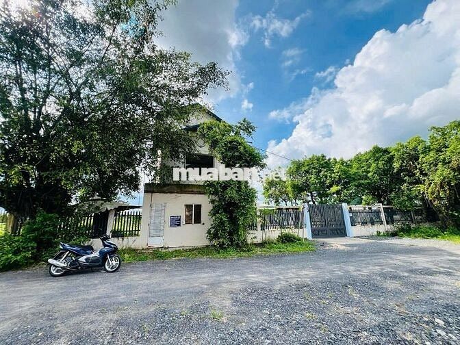BÁN ĐẤT: 157m2 thổ cư 1/ Trung Lập Hạ - cách KCN Tây Bắc 2km - SHR
