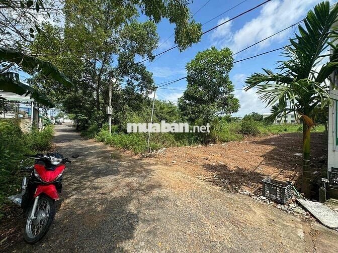 bán đất tdc miếu bông hoà xuân 180m giá 3ty250