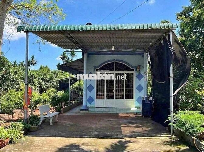 CHỦ KẸT BANK NÊN CẦN BÁN GẤP CĂN NHÀ VƯỜN 1400m2 CÓ SẴN THỔ CƯ RỒI