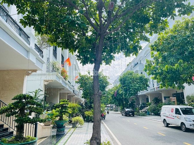 mặt bằng tầng trệt, vị trí đẹp, có chổ đậu oto, bàn giao cơ bản