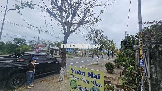Đất 90,5m2 mặt tiền Trần Thủ Độ, Điện Bàn Đông