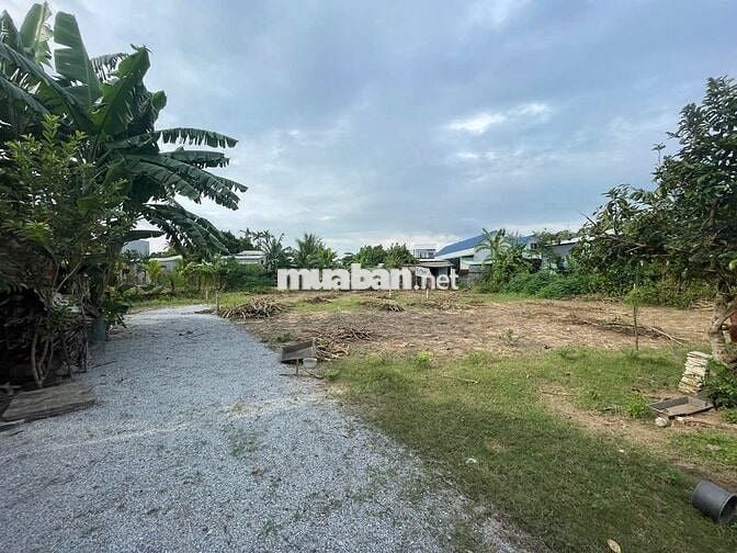 Bán lô đất 119m2 thổ cư, Phong Lục Tây, TP Đà Nẵng mới