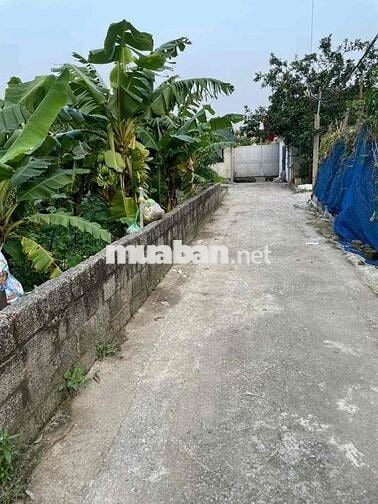 Ninh Xá – Ninh Sở – Giá chỉ 2.55 tỷ • Diện tích: 41.2m² – Mảnh đất v