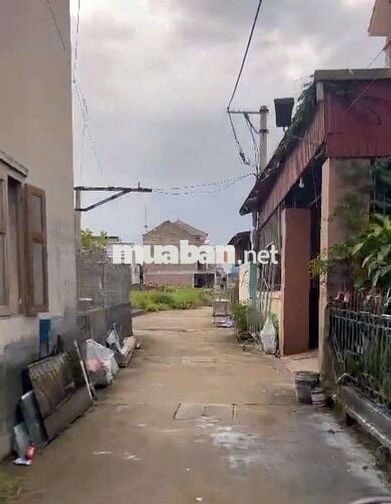 🌞 BÁN ĐẤT ĐẸP – THƯ DƯƠNG - THƯ PHÚ - THƯỜNG TÍN -HÀ NỘI 
🔹 Diện tíc