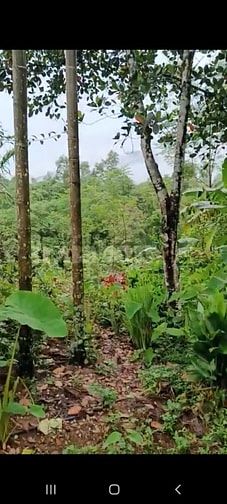 Cắt bán 2286m tc giá rẻ chính chủ tại Vĩnh Tiến Kim Bôi bám suối to đẹ