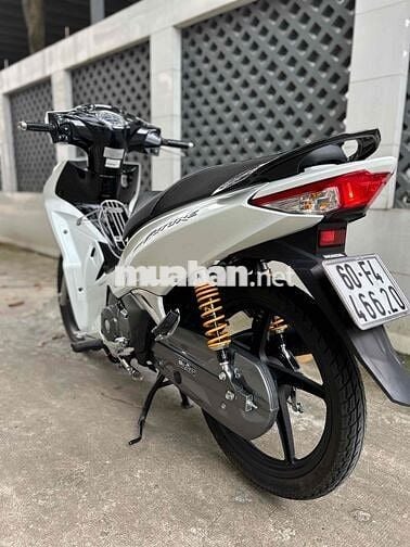 Bán fu led 2023