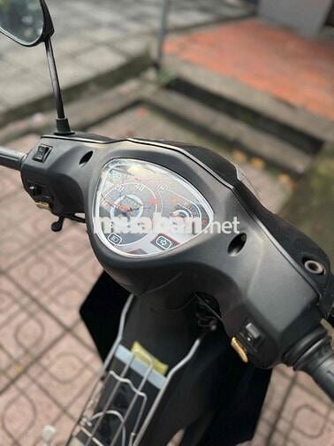 Elegant 50cc