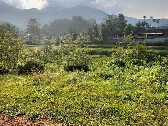 700m giá chỉ 500tr Vĩnh Đồng Kim Bôi Hòa Bình view đỉnh chóp Cần bán