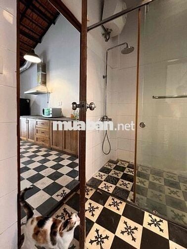Shophouse 60m2, trong biệt thự mặt tiền đường 40 KDC Tân Quy Đông, Q7