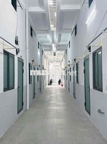 🏡 CHỦ NGỘP CẦN BÁN – DÃY TRỌ 12 PHÒNG TRẦN ĐẠI NGHĨA, BÌNH CHÁNH