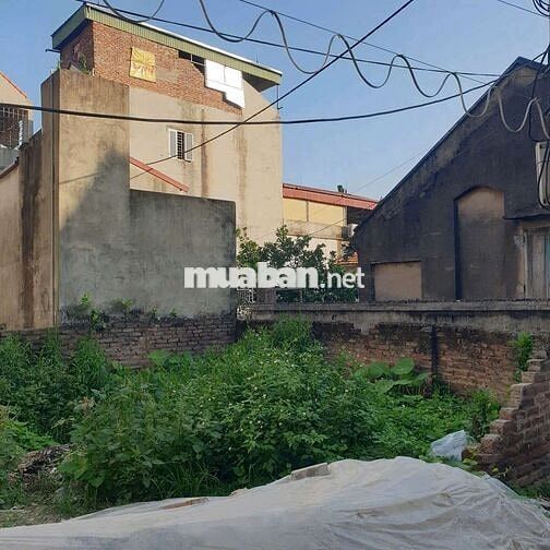 🚀🚀 Lô góc 51,5m tại Xâm Hồ - Vân Tảo - Thường Tín - Hà Nội
🎄 Mặt ti