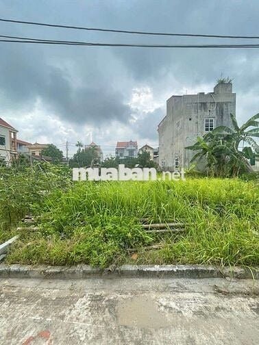 🔥 Siêu phẩm oto đỗ cửa Thư Dương-Thư phú💯💯
✅Diện tích:58m2
🌽 Mặt t