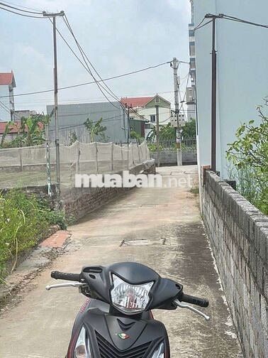 🔥 Siêu phẩm oto đỗ cửa Thư Dương-Thư phú💯💯
✅Diện tích:58m2
🌽 Mặt t