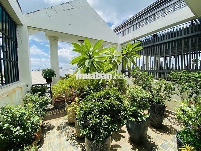 NHÀ 1 TRỆT 2 LẦU + TUM – 123M² – XE HƠI TRÁNH – SỔ HỒNG RIÊNG